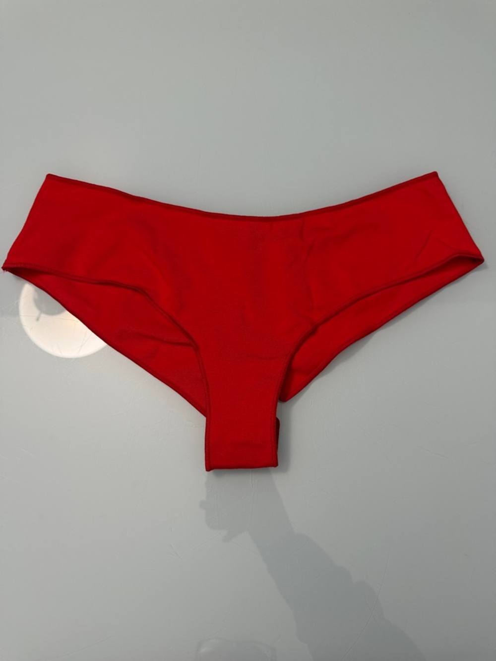 NWOT SKIMS Cheekie Panties